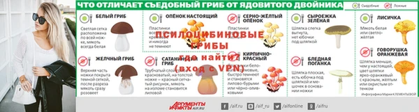 прущие грибы Алексеевка