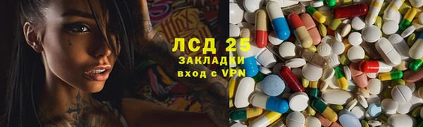 прущие грибы Алзамай