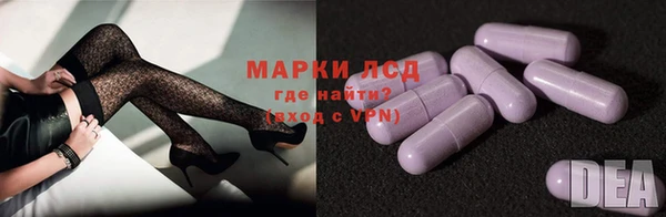 прущие грибы Алзамай