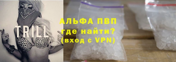 прущие грибы Алексеевка