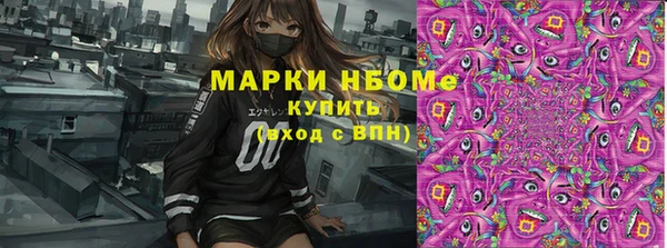 прущие грибы Алексеевка