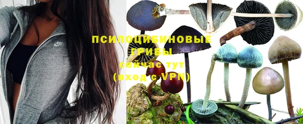 хмурый Абаза