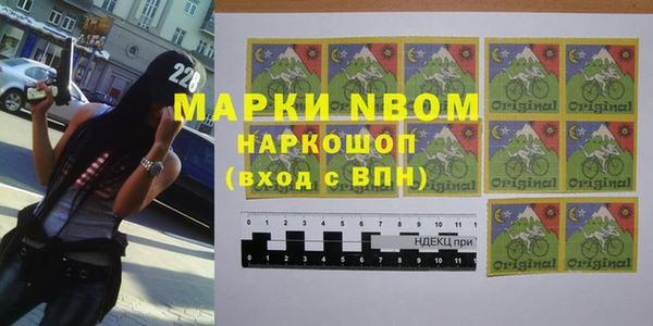 прущие грибы Алзамай