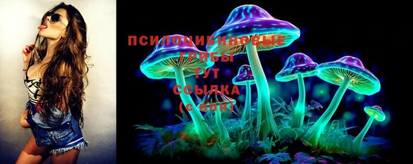 прущие грибы Алексеевка