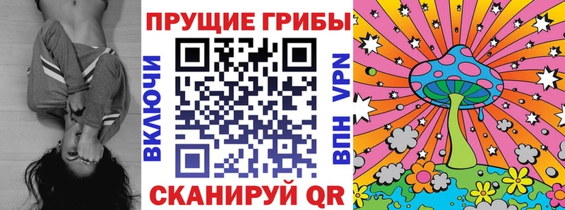 Псилоцибиновые грибы Cubensis  купить  цена  Сарапул 
